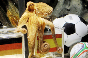 The Amazing Tale of Paul the Psychic Octopus: Germany's World Cup Soothsayer