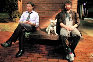 Due Date