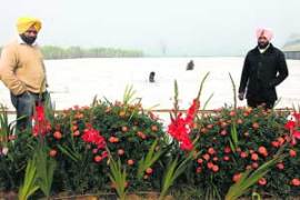 M_Id_195310_FF no alt set