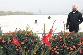 M_Id_195460_Crop no alt set