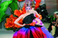 M_Id_193240_fashion no alt set