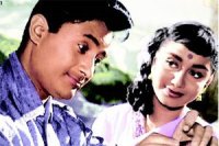 M_Id_198428_Hum_Dono no alt set