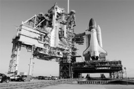 M_Id_204358_Knowledge no alt set