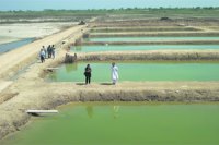 M_Id_206482_From_the_fields no alt set