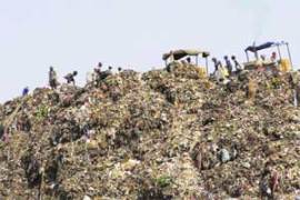 M_Id_214861_Deonar_site_is_beyond_its_saturation_point_with_garbage no alt set
