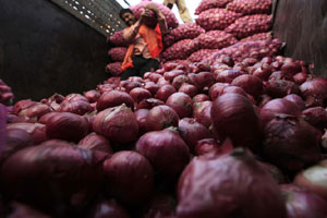India sheds tears on onion exports News Archive News - The Indian Express