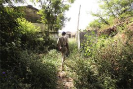 M_Id_247678_FP no alt set