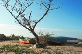 M_Id_258328_FP no alt set