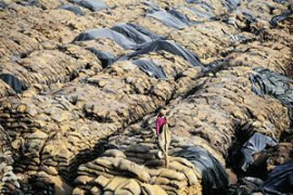 M_Id_287551_FF no alt set