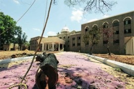 M_Id_292941_Branches no alt set