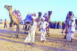 M_Id_296536_kc no alt set