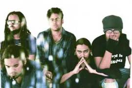 M_Id_300548_ent no alt set