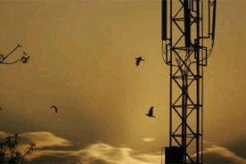 M_Id_305428_FP no alt set