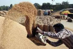 M_Id_319369_SC no alt set