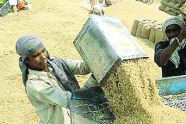 M_Id_323315_FF no alt set