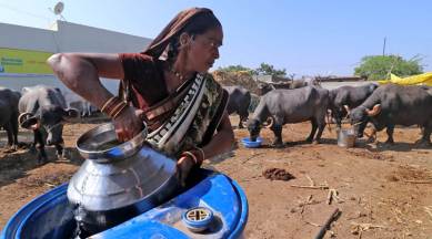 Explained: Why healthy animals mean healthy humans, and how to meet that goal