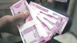 As procurement deadline nears, tur growers in Maharashtra stare at Rs 1,067-crore loss