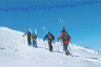 M_Id_361684_backdrop no alt set