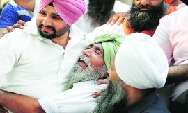 M_Id_384156_a no alt set