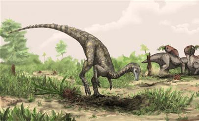 New dinosaur discovered in Canada | Technology News,The Indian Express