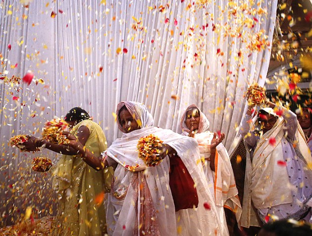 vrindavan widows play holi