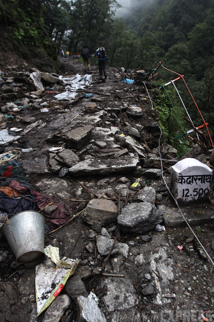 What is himalayan tsunami