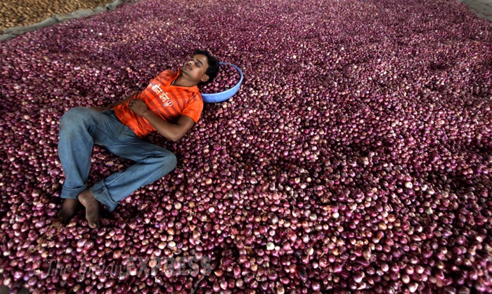 Onionprices-3