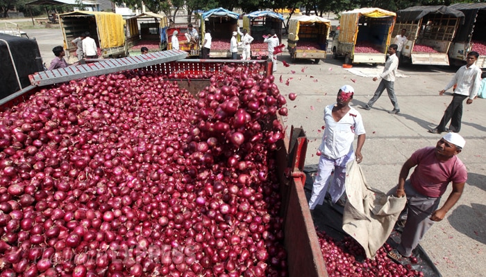onionprice-protest