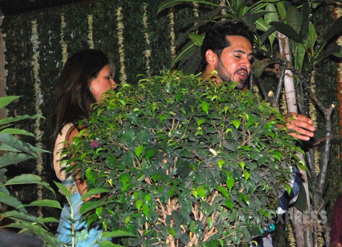 Dino Morea
