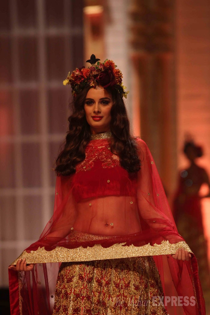 evelyn-sharma