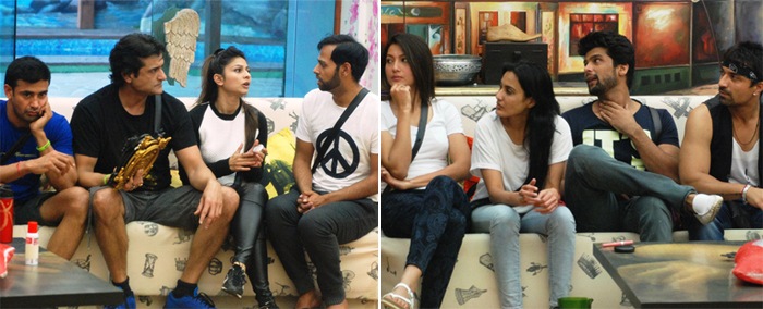 biggbossteams