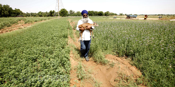 Sikh farmers battling for their land in Kutch | Picture Gallery Others ...