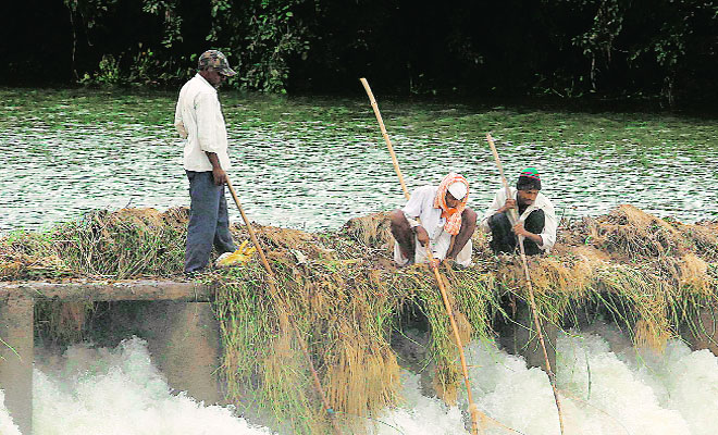 Palkhis ahead,high pollution levels in Indrayani river raise fears ...