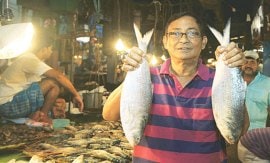 M_Id_397624_fff no alt set