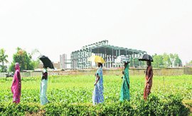 M_Id_401874_Kolkata no alt set