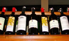 M_Id_417698_Mizoram_Grape_Festival_2013 no alt set