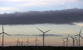 Obama administration, wind-turbine rule, death of goldern eagels in US, US news, death of goldern Eagle sin US, latest news, International news