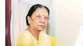 CM Anandiben Patel, BJP, Asiatic lions, patidar youths, quota violence, gujarat quota violence, gujarat news