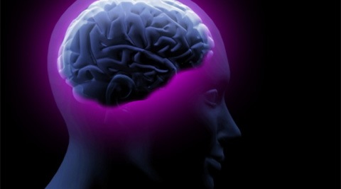 The development offers greater possibilities for advance in robotics and computing and a new way of understanding the brain, researchers said.