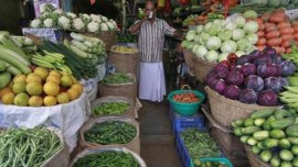 Kerala, kerala news, kerala agriculture minister, kerala agriculture minister vs sunil, kerala organic vegetables, kerala government organic vegetables, organic vegetable cultivation, india news, indian express