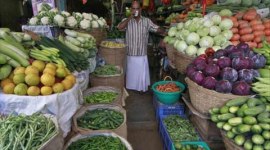 Kerala, kerala news, kerala agriculture minister, kerala agriculture minister vs sunil, kerala organic vegetables, kerala government organic vegetables, organic vegetable cultivation, india news, indian express