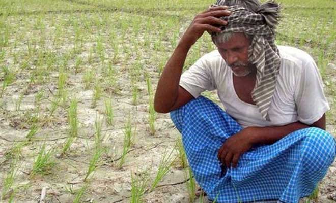 Odisha Farmer Suicides On The Rise Cops To Keep Watch On Moneylenders India News The 1180