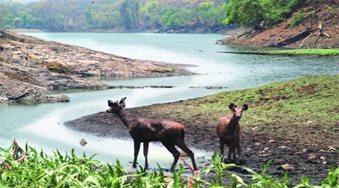 The park authorities will begin documenting the flora and fauna and come out with booklets.