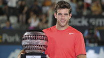 Juan Martin del Potro
