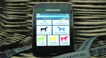 The teams will categorise dogs with the help of an app.