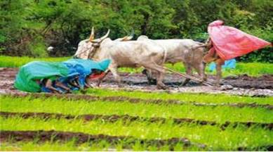 Agriculture Minister Radha Mohan Singh, Madhya Pradesh, Odisha and Andhra Pradesh, farm machineries, farm mechanisation by state governments, agriculture reforms, Latest news, India new, National news