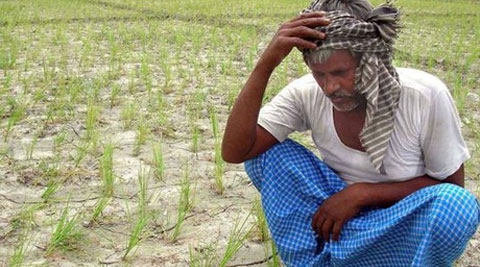 The Bill was passed in April 2010 by the state legislature following a spike in the number of suicides by farmers in Vidarbha. (PTI)