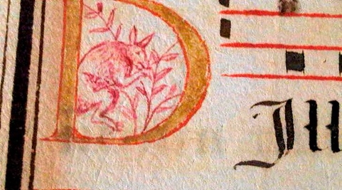 The document, acquired by Les Enluminures Gallery in New York, shows a carefully-drawn sketch of a kangaroo in its text and is dated between 1580 and 1620. (Source: http://www.smh.com.au)