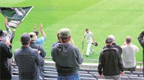 Cricket