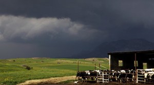 Why the winter has arrived late and why the cold will last